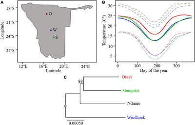 Metabolite Profiling of the Social Spider Stegodyphus dumicola Along a Climate Gradient